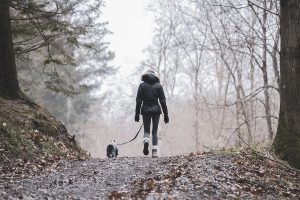 Hiking Gear for Dog Owners