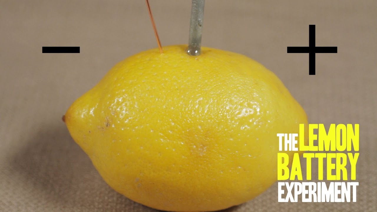 You are currently viewing How to Make a Lemon Battery with SciShows Hank Green
